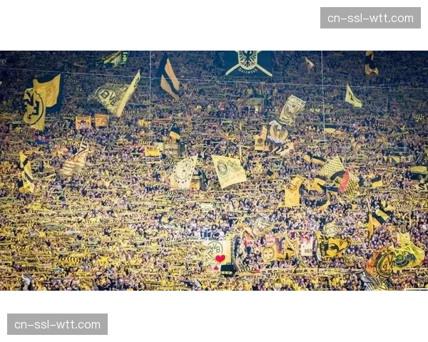 德甲俱乐部联合发起“开放训练日”，吸引超过十万名球迷现场参与